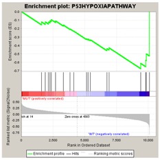 anl-enrichment-geneset-plot-p53hyp
