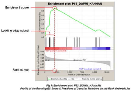 anl-enrichment-geneset-plot-annotated