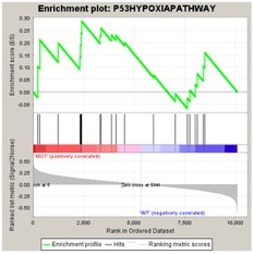 anl-enrichment-geneset-plot-p53hyp-permute