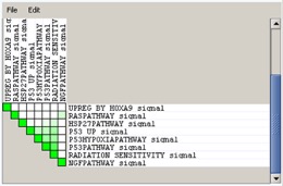 anl-leading-settoset